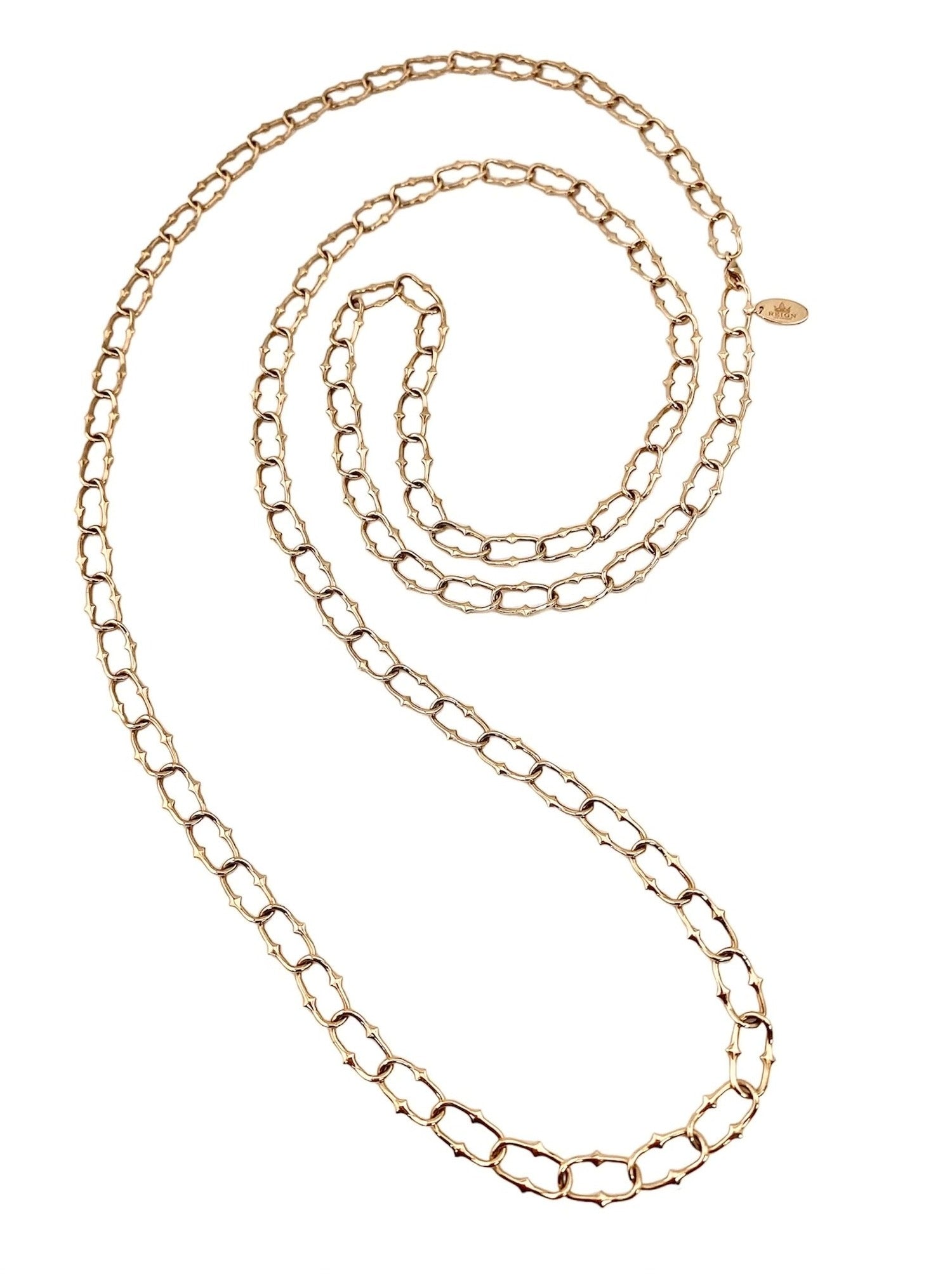 Rani Thorn Link Long Necklace